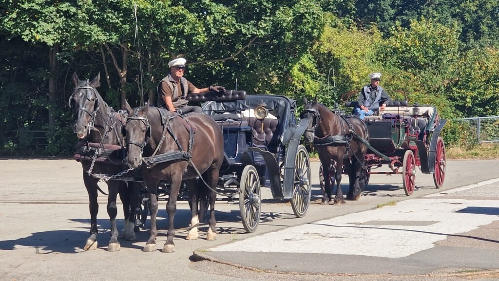 Bakken horse-drawn carriage